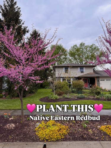 Carousel post from backyardcolumbus.