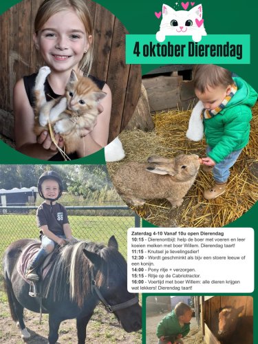 Photo post from visitoirschot.