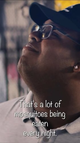 Video post from batboyfilm24.