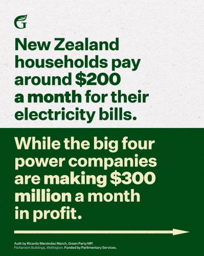 Carousel post from nzgreenparty.