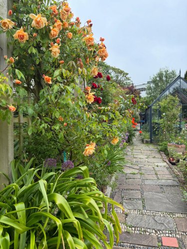 Photo post from gardenhousebrighton.