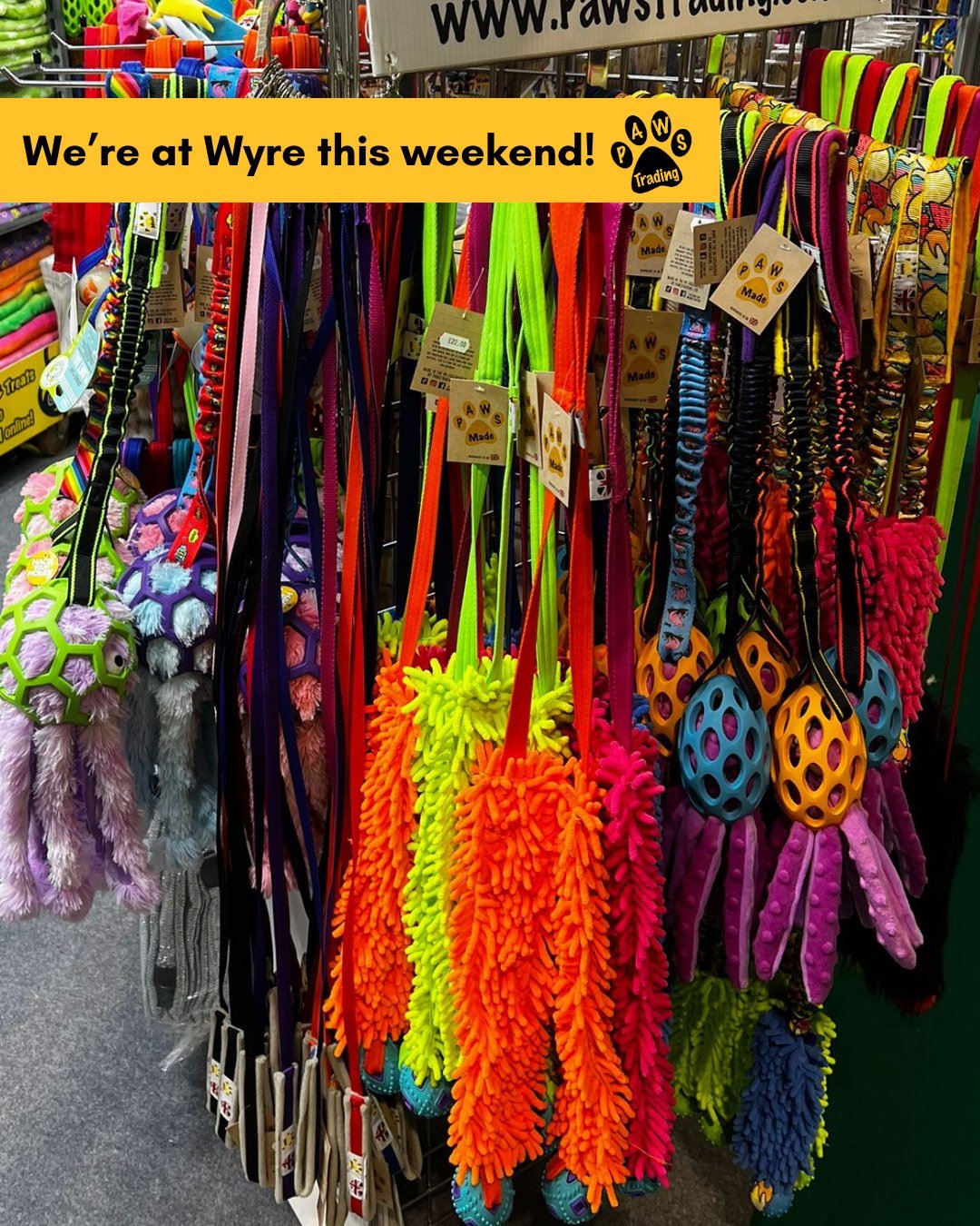 Photo post from pawstrading.