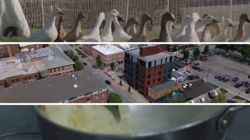 Video post from thinkiowacity.