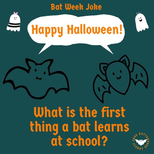 Photo post from savebuttonhook.