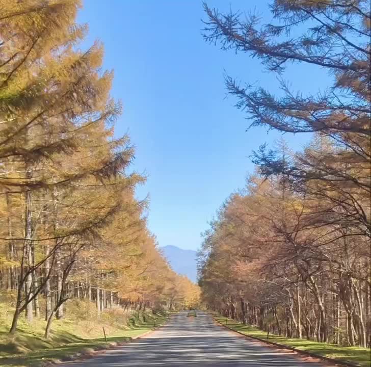 Carousel post from takashi_nigata.