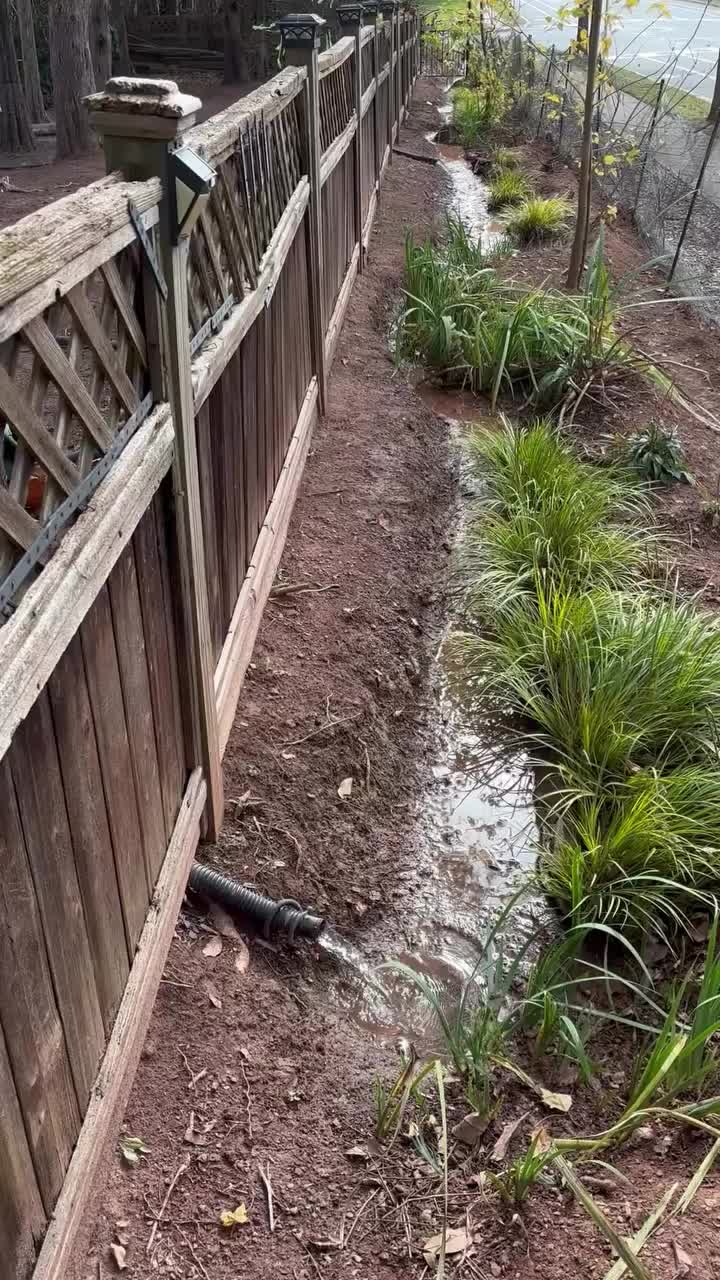 Video post from mireade2025.