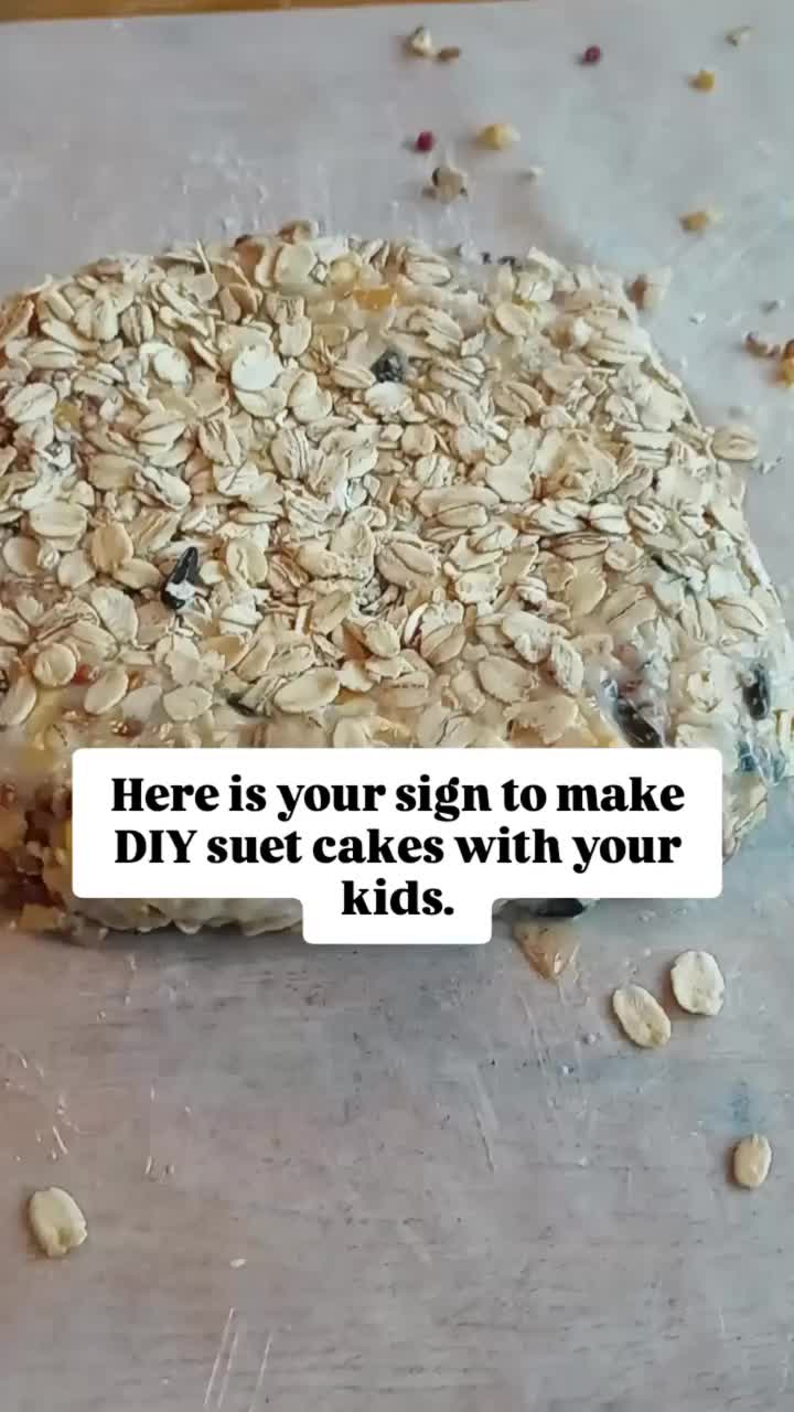 Video post from thebeeandbee042608.