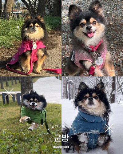 Photo post from hurttakorea.