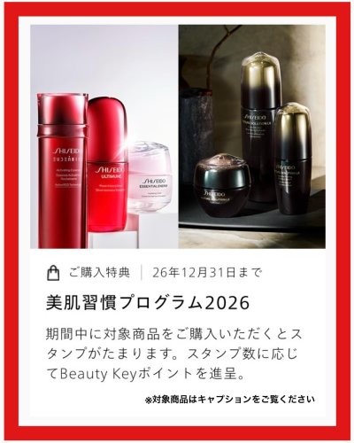 SHISEIDO エッセンス スキンセッティング パウダー 通販 - 西武