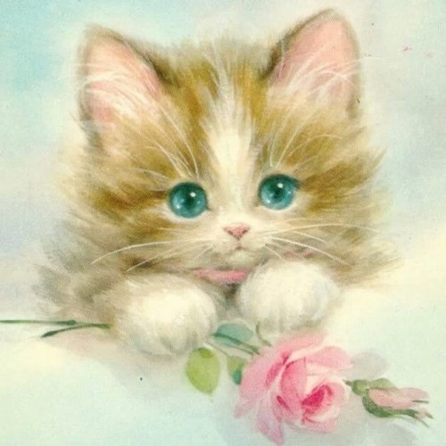 Photo post from margaritabloom.