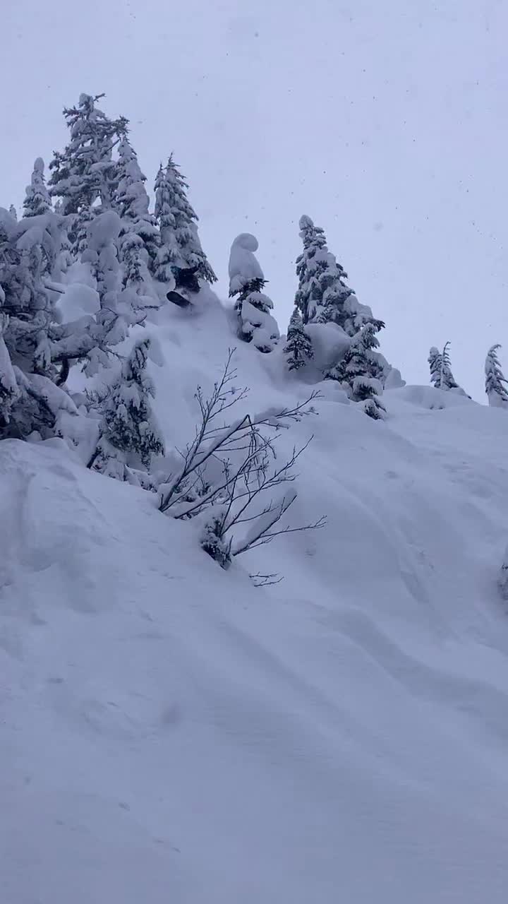 Video post from libtechnologies.