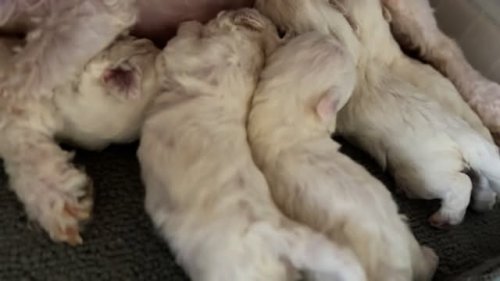 Video post.