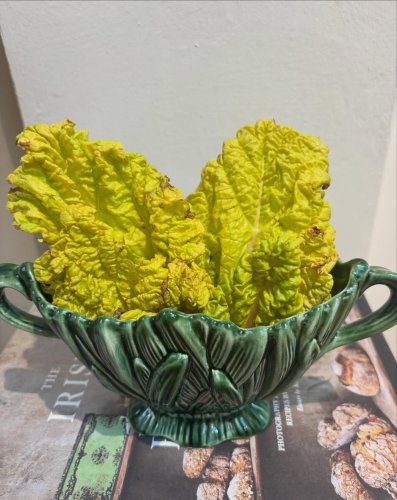 Photo post from gardenhousebrighton.