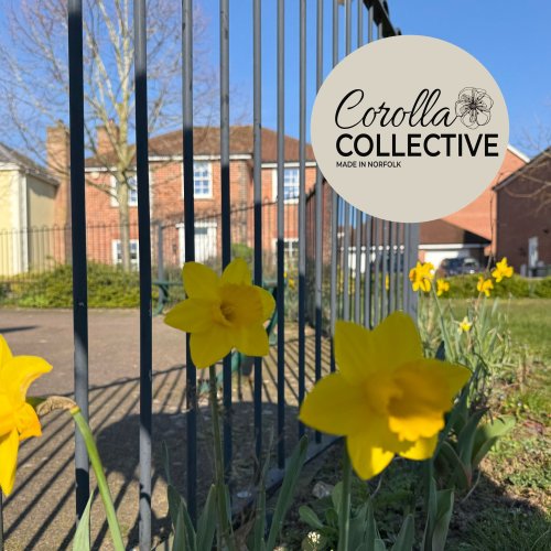 Carousel post from corollacollective.