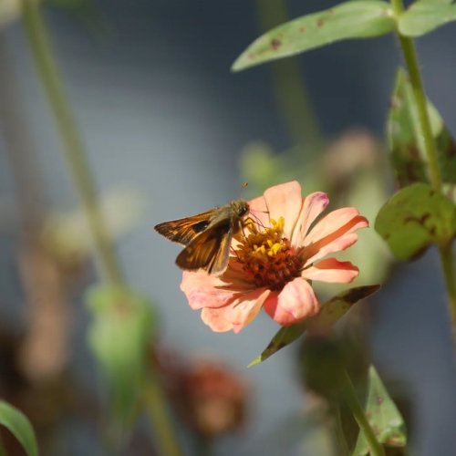 Carousel post from thebeeandbee042608.