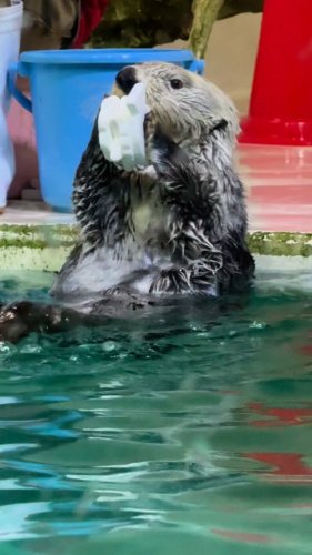 Video post from kouji_1965_123.