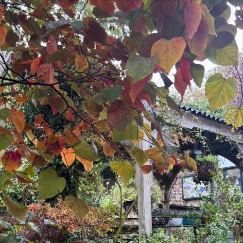 Photo post from gardenhousebrighton.