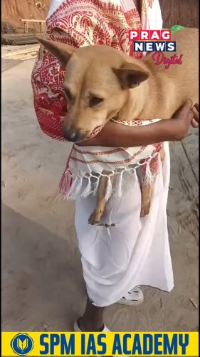 Video post from pragnewsofficial.