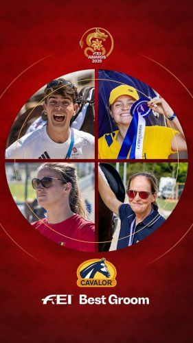 Video post from fei_global.