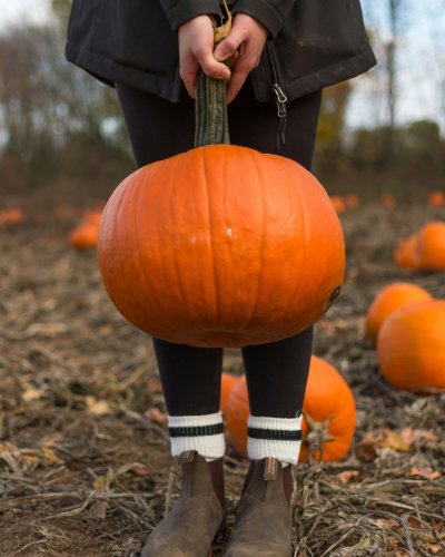 Photo post from giftvoucherbrilliance.