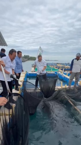 Video post from amanatnasional.