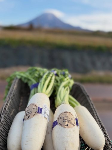 Carousel post from daisenbou.