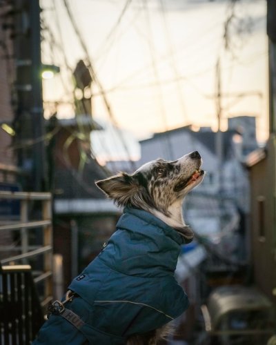 Carousel post from hurttakorea.