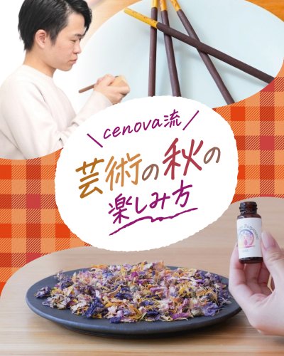happynewyouBoConcept セノーバ Cenova そのニ happynewyouBoConcept セノーバ Cenova そのニ