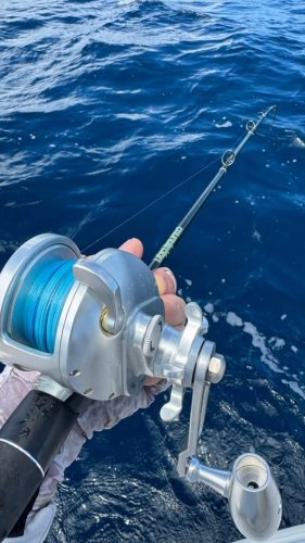 Video post from ejs_fishing_charters.