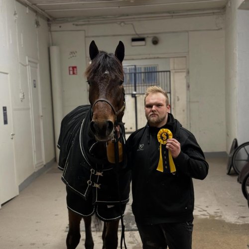 Nya segrar till stallet 🥳 Dream Loverboy & Express Cash 🥇🥇 mattiasdjuse.se
