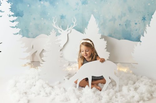 Photo post from babybonnet_backdrops.