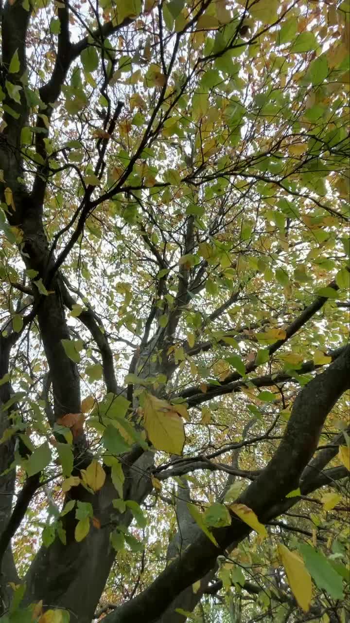 Video post from grow_naturally_norfolk.