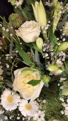 Video post from dellemannbloemen.