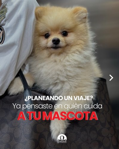 Carousel post from omegasegurosco.