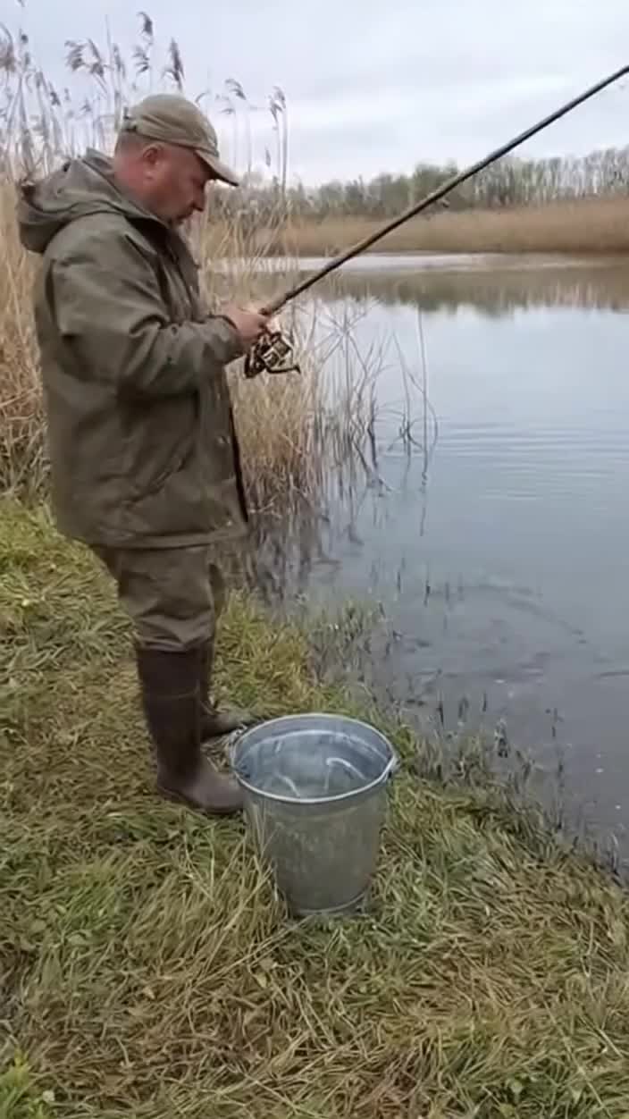 Video post from nemagnit.company.