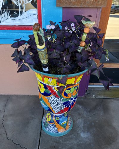 Carousel post from patagoniatradingpost.