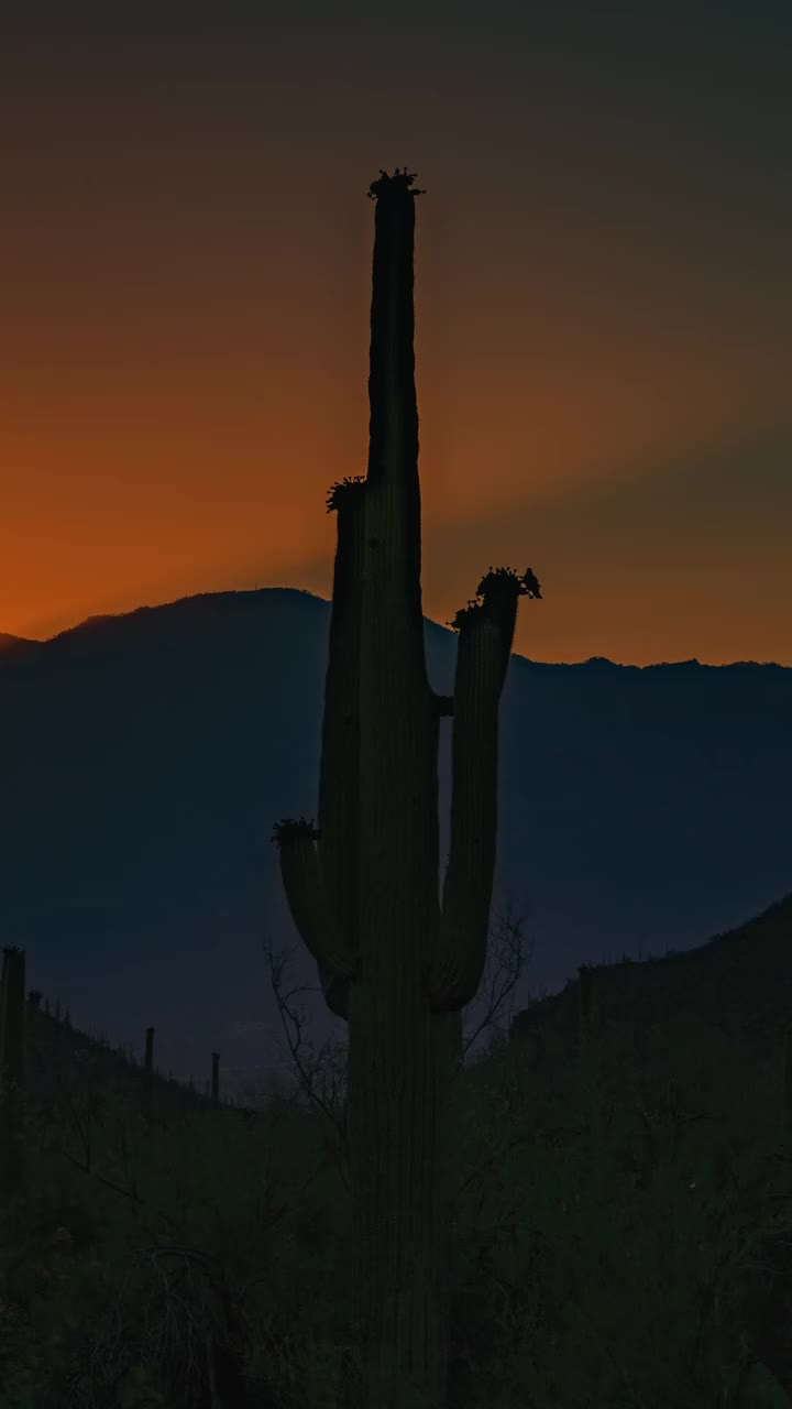 Video post from visittucson.