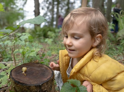 Carousel post from finnriver.
