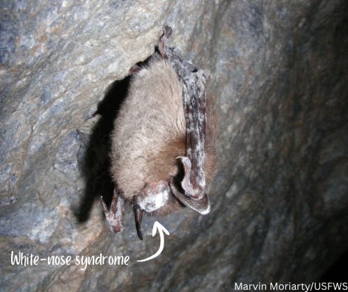 Photo post from multisar_ab.