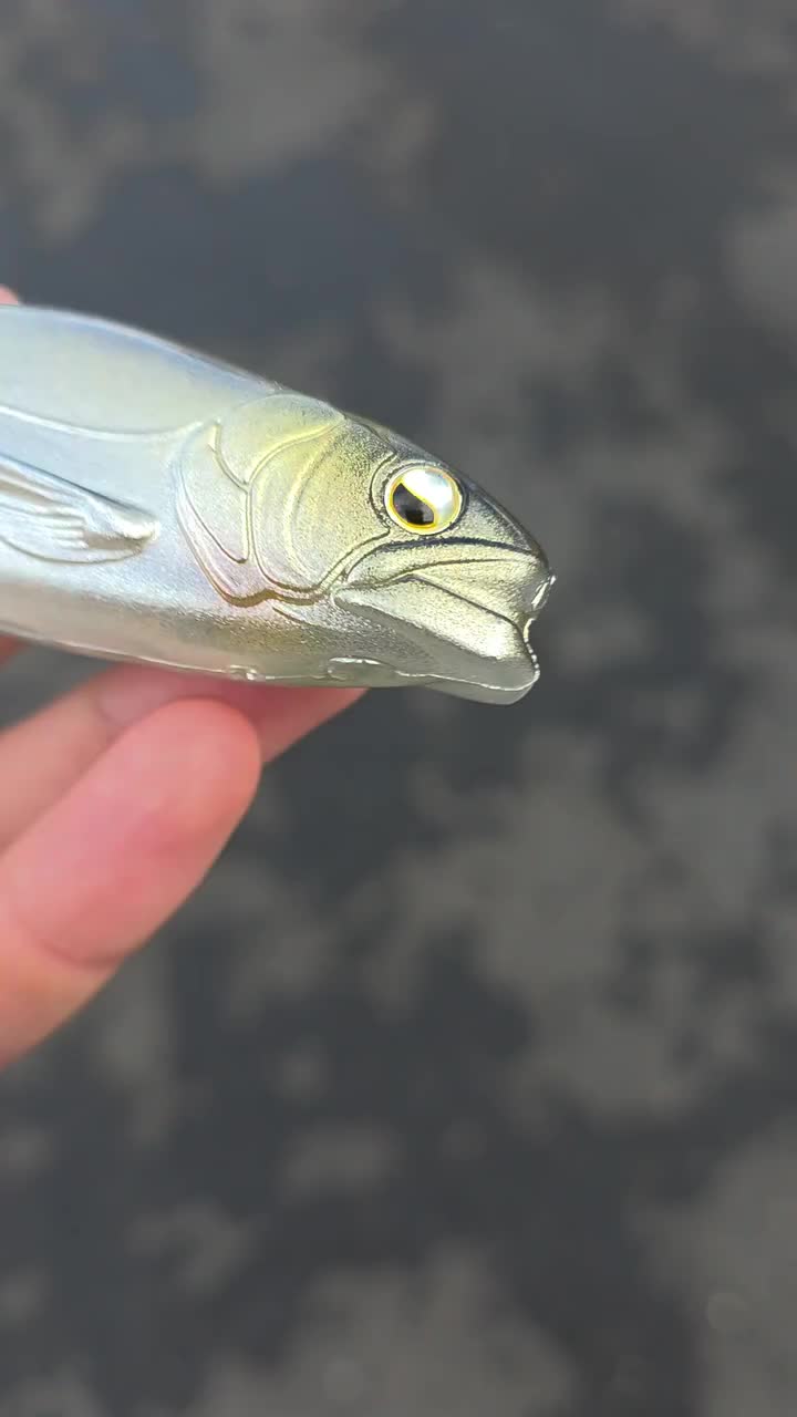 Video post from garrettscustoms.