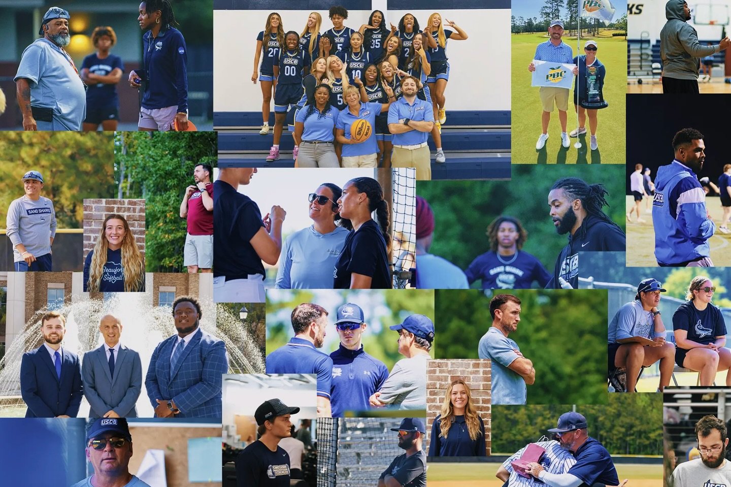 Photo post from uscbsandsharks.