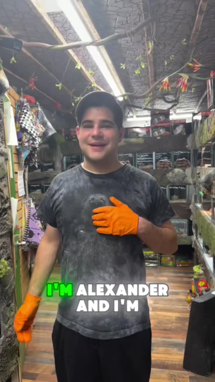 Video post from njexoticpets.