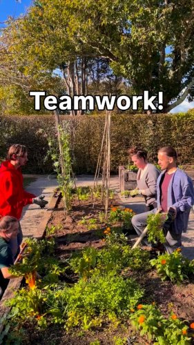 Video post from potager_garden.