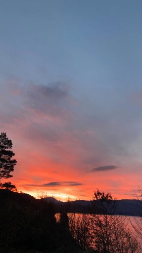 Video post from balmacaramains.