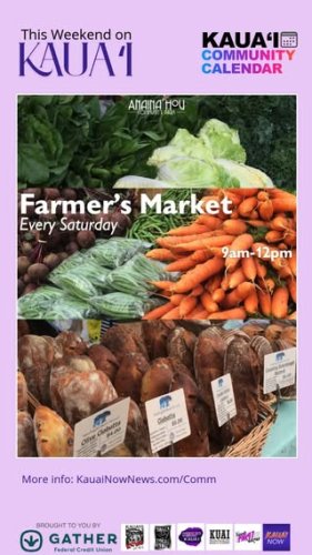 Video post from hi95kauai.