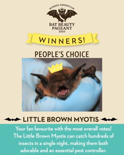 Carousel post from humberarb.