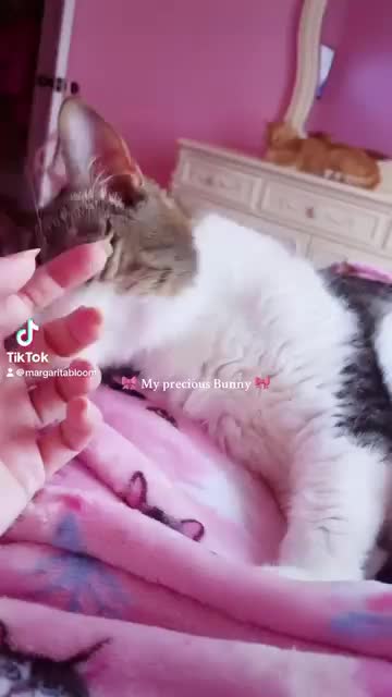 Video post from margaritabloom.