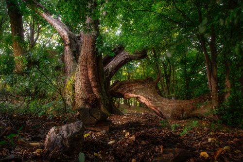 Photo post from regionzahorie.sk.