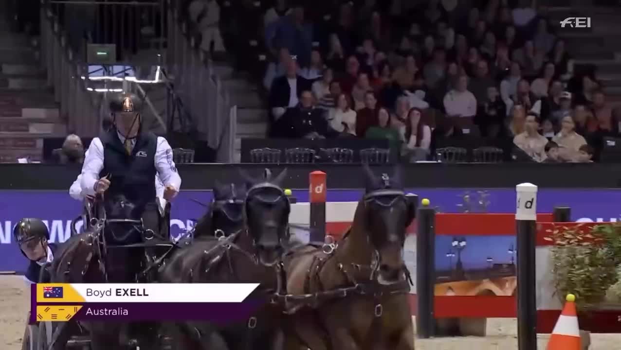 Video post from fei_global.