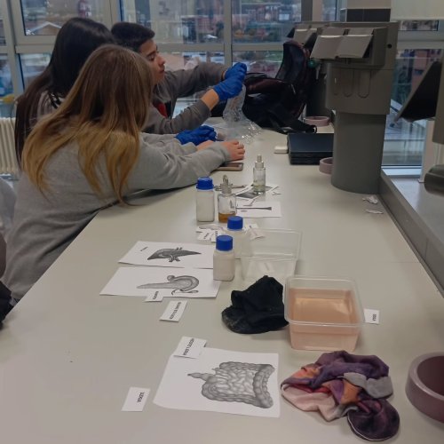 Carousel post from ellacuriazurbaranbhi.